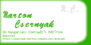 marton csernyak business card